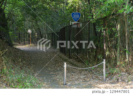 遊歩道となった国道308号 遊歩道となった国道308号 129447801