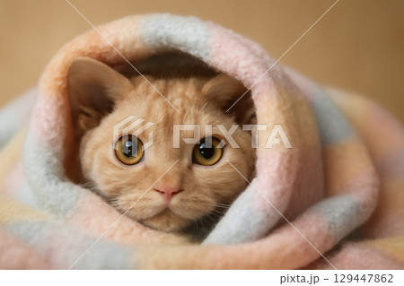 AI generated image of a Tennessee Rex cat with golden-yellow eyes peeking from a pastel blanket. Soft lighting highlights the fluffy texture and adorable expression, creating a calm and playful mood. 129447862