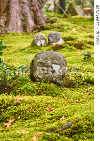 大原 三千院 わらべ地蔵と散りもみじ (京都府京都市左京区) 大原 三千院 わらべ地蔵と散りもみじ (京都府京都市左京区) 129447989