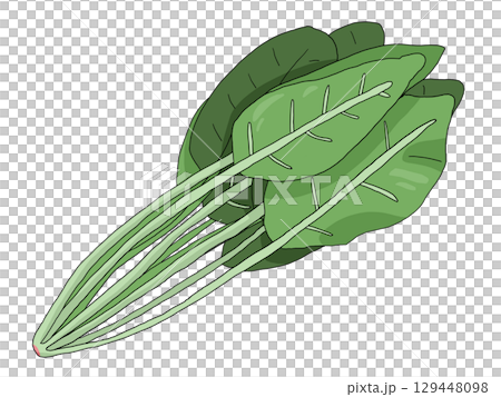 菠菜插圖 129448098
