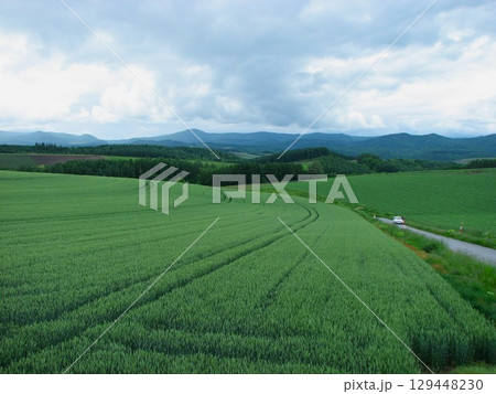 北海道美瑛の景色 01 200906 129448230