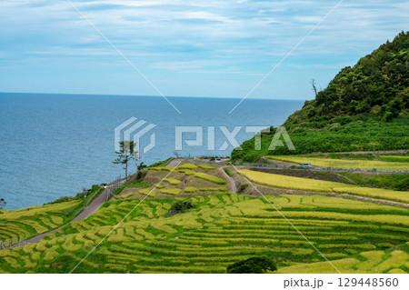 棚田と海のある風景 棚田と海のある風景 129448560