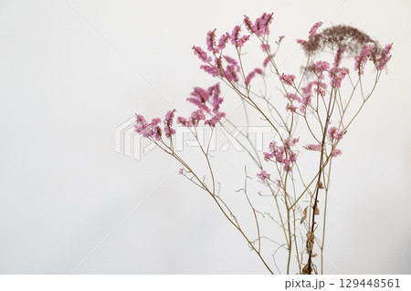 花瓶に刺さったドライフラワー 129448561