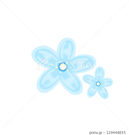 ブルースター　花 129448655