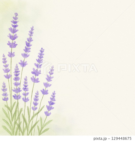 左側にラベンダーが咲く癒しの背景　やさしい水彩風デザイン 129448675