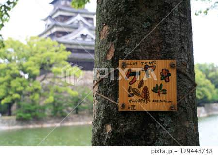 公園にある樹木名札 公園にある樹木名札 129448738