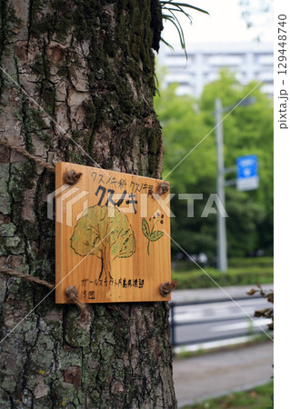 公園にある樹木名札 公園にある樹木名札 129448740