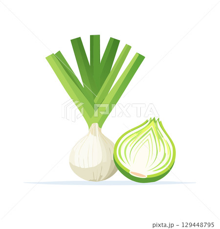春の新玉ねぎ(皮付き&カット断面) 春の新玉ねぎ(皮付き&カット断面) 129448795