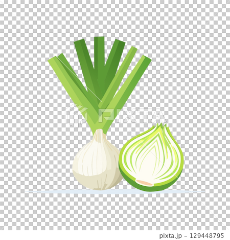 春の新玉ねぎ(皮付き&カット断面) 春の新玉ねぎ(皮付き&カット断面) 129448795
