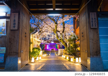 墨染寺　桜 129448835
