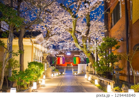 墨染寺　桜 129448840