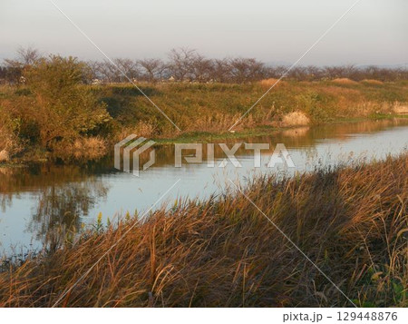 秋の夕暮れに染まる静かな川 秋の夕暮れに染まる静かな川 129448876