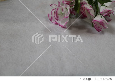 トルコキキョウの花 129448980