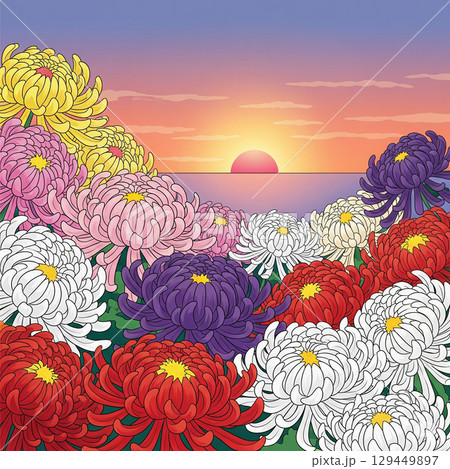 日本の菊と日の出の海のある風景 129449897