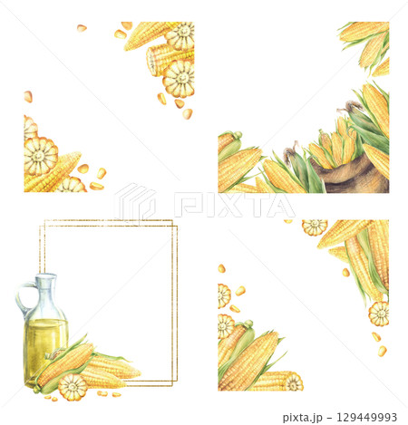 Corn frame set. Watercolor plant oil glass bottle, canvas bag with corncobs, maize corn harvest. Fresh sweet vegetables farm crop. Hand drawn nature food illustration for label on isolated background Corn frame set. Watercolor plant oil glass bottle, canvas bag with corncobs, maize corn harvest. Fresh sweet vegetables farm crop. Hand drawn nature food illustration for label on isolated background 129449993