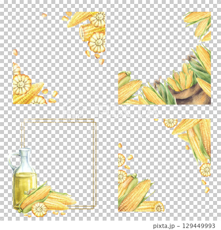 Corn frame set. Watercolor plant oil glass bottle, canvas bag with corncobs, maize corn harvest. Fresh sweet vegetables farm crop. Hand drawn nature food illustration for label on isolated background 129449993