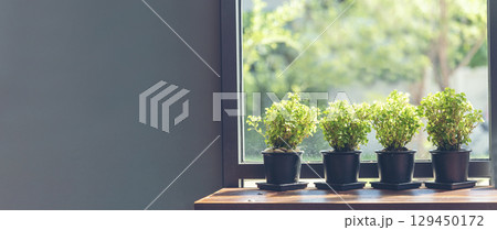 Banner Plant pot office decor on wood table. Panorama Green decorate home office desk. Green potted plant in springtime Fern bush green leaf foliage floral. Houseplant home decor with copy space Banner Plant pot office decor on wood table. Panorama Green decorate home office desk. Green potted plant in springtime Fern bush green leaf foliage floral. Houseplant home decor with copy space 129450172