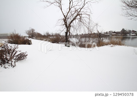 雪と池 雪と池 129450378