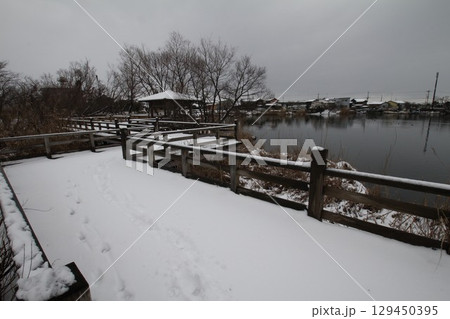 雪の積もった公園の池 129450395