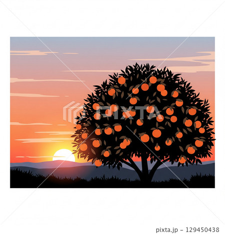 みかんと夕日 129450438