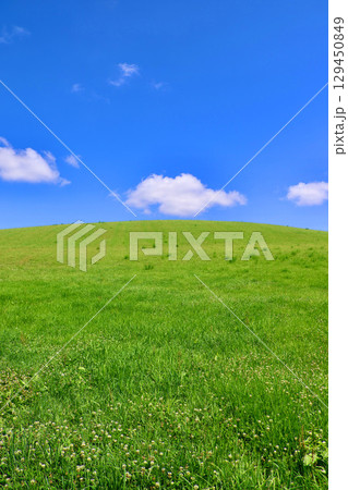 草原と大空(北海道・美瑛町) 草原と大空(北海道・美瑛町) 129450849