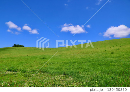 草原と大空（北海道・美瑛町） 129450850