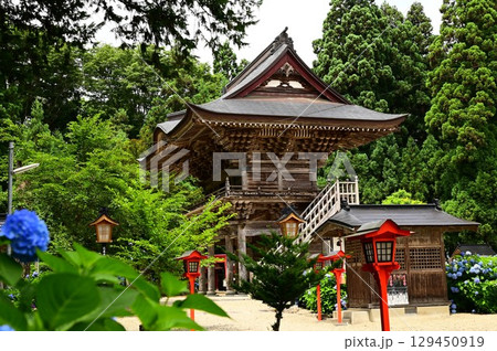 アジサイが満開 音羽山 清水寺 129450919