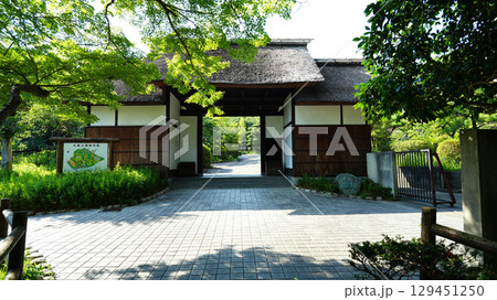 大倉公園　愛知県大府市 129451250