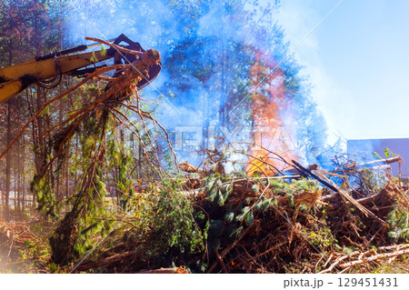 Large machine removes branches trees, with smoke billowing from fire in forest clearing on deforester day Large machine removes branches trees, with smoke billowing from fire in forest clearing on deforester day 129451431