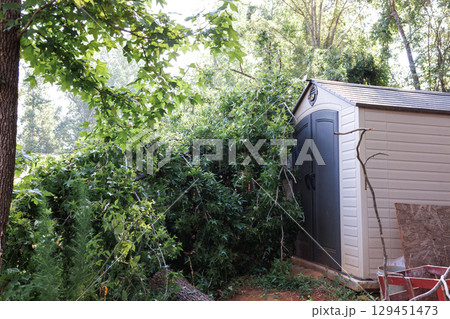 Tree branches are uprooted leaning against storage shed after strong winds pass through area after strong tornado 129451473