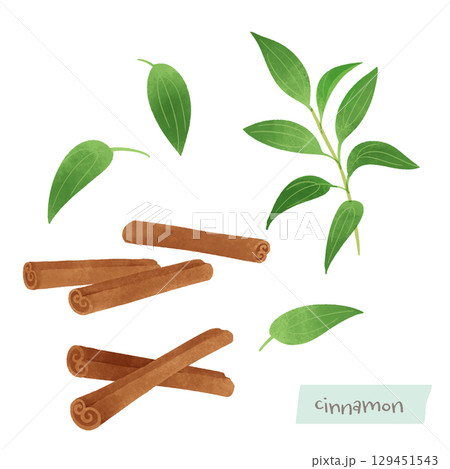 シナモンの水彩イラスト 129451543