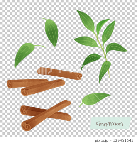 Cinnamon watercolor illustration 129451543