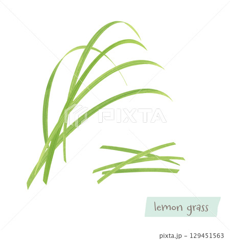 レモングラスの水彩イラスト レモングラスの水彩イラスト 129451563