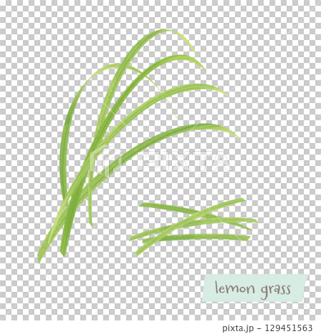 レモングラスの水彩イラスト レモングラスの水彩イラスト 129451563
