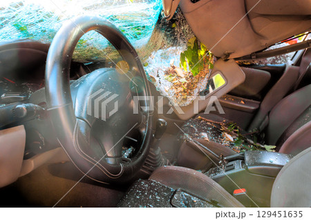 Car interior covered in debris from fallen tree, indicating recent storm damage Car interior covered in debris from fallen tree, indicating recent storm damage 129451635