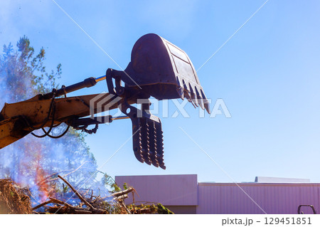 Heavy machinery moves debris at construction site under works deforester day in forested area. 129451851