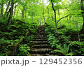 森の中にある階段 129452356