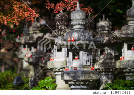 Daruma dolls on  lantern at Katsuoji temple garden in autumn, Osaka 129452411
