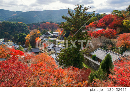 Top view of Sakurai city with autumn from Hasedea temple, Nara Top view of Sakurai city with autumn from Hasedea temple, Nara 129452435