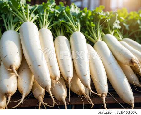 秋の収穫野菜（大根,ダイコン） 129453056