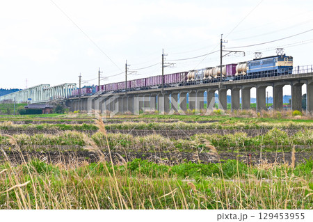鹿島線の貨物列車 鹿島線の貨物列車 129453955