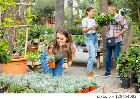 Girl choosing potted Helichrysum tianschanicum plant in garden store Girl choosing potted Helichrysum tianschanicum plant in garden store 129454092