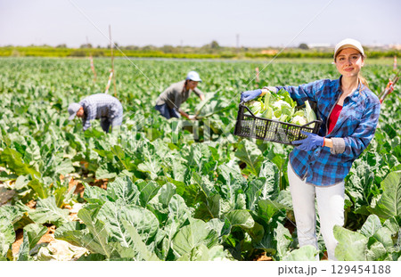 Portrait of woman gardener with crate full of cauliflowers 129454188