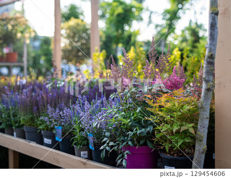 Rows of blooming flowers and plants in outdoor garden centre. Rows of blooming flowers and plants in outdoor garden centre. 129454606
