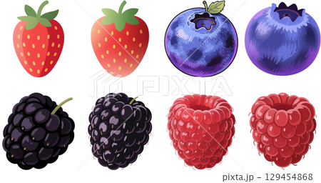 4種のベリー 129454868