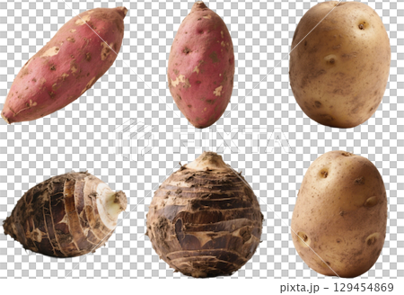 收穫的土豆 129454869