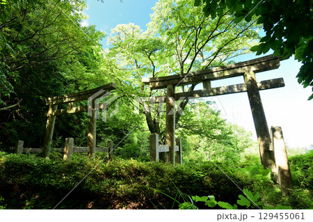 二つ鳥居(高野山町石道) 【和歌山県かつらぎ町】 二つ鳥居(高野山町石道) 【和歌山県かつらぎ町】 129455061