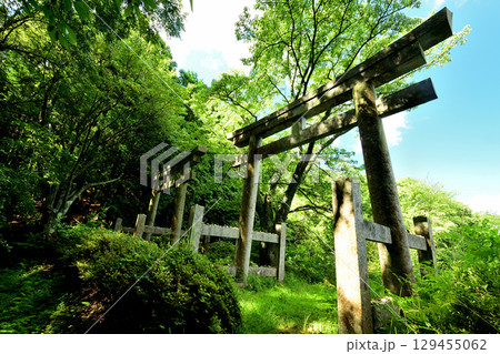 二つ鳥居(高野山町石道)　【和歌山県かつらぎ町】 129455062