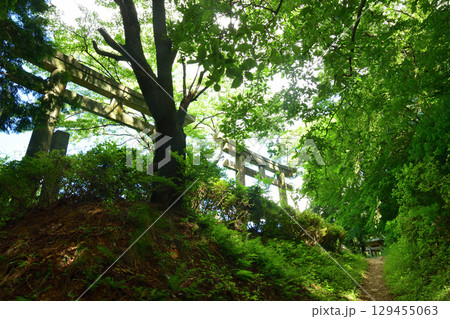 二つ鳥居(高野山町石道) 【和歌山県かつらぎ町】 二つ鳥居(高野山町石道) 【和歌山県かつらぎ町】 129455063