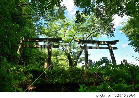 二つ鳥居(高野山町石道) 【和歌山県かつらぎ町】 二つ鳥居(高野山町石道) 【和歌山県かつらぎ町】 129455064